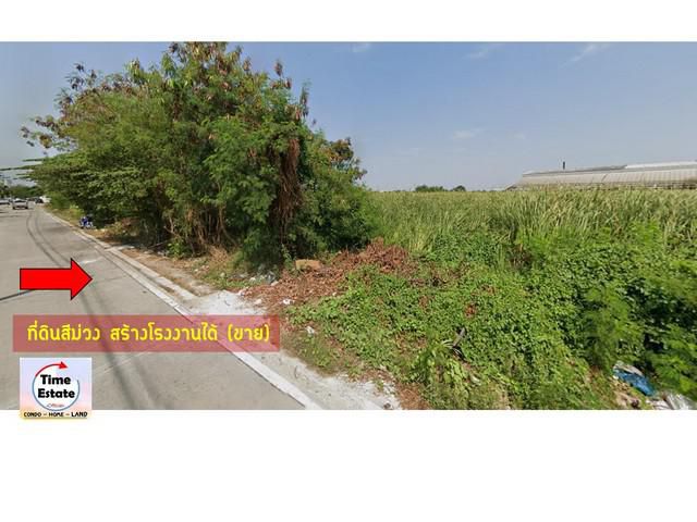ขายที่ดินสีม่วง ออกใบ รง.4ได้ ถนนพุทธมณฑลสาย5