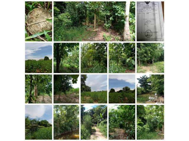 ที่ดินสวยโฉนด5ไร่ ติดคลองน้ำ