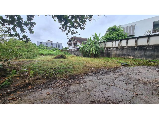 DD-006 ขายด่วน!!! ที่ดินเสนานิคม 1