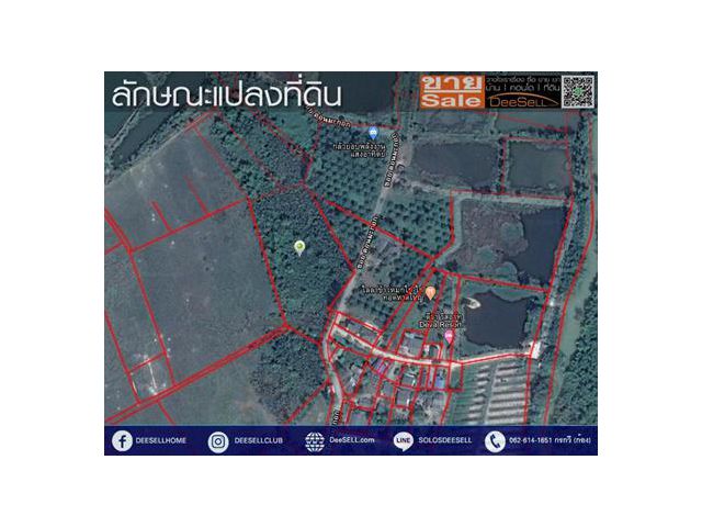 ขายที่ระยอง 6ไร่3งาน73ตรว บ้านดอนมะกอก เหมาะลงทุน