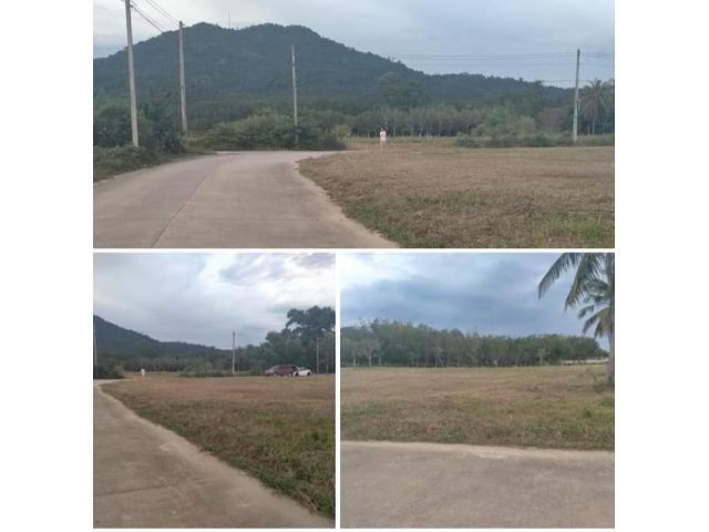 ที่ดินวิวหมอกภูเขายามเช้า.น่าอยุ่โอโซนดี มีเพื่อนบ้าน ใกล้ทะเล