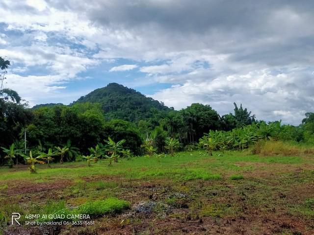 ขายสวนสวยพร้อมบ้านหลังน้อยน่ารัก อ.เมือง จ.นครนายก