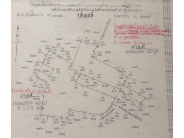 ที่ดินสวนปาล์ม อ.แกลง จังหวัดระยอง ขายถูกกว่าทุกแปลงรอบๆ