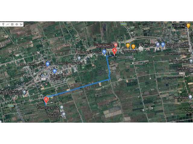 ขายที่ดิน 1-1-51 ไร่ อำเภอระโนด จ.สงขลา