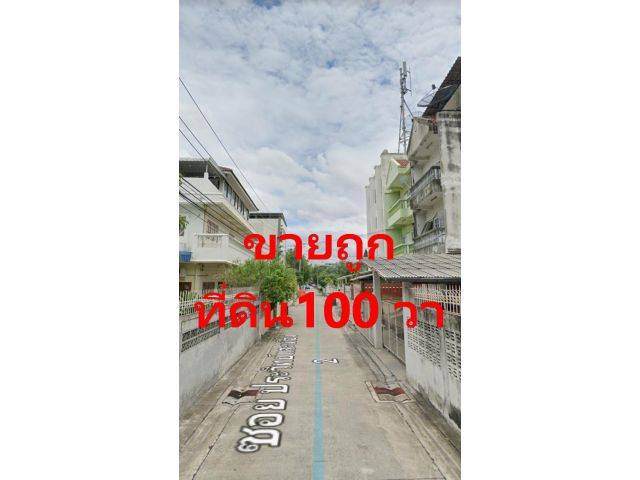 ขายที่ดิน 100 วา อุดมสุข 51 แปลงมุม สวย ถูกมาก