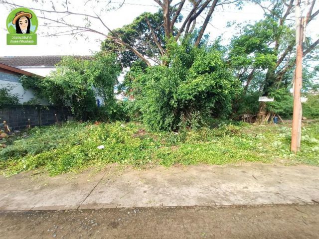 ที่ดินทำเลในเมือง