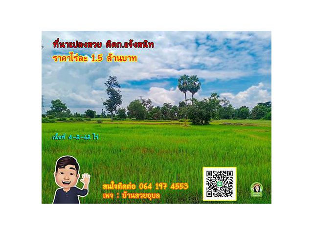 ที่ดินทำเทดีติดถนนแจ้งสนิท ราคากันเอง