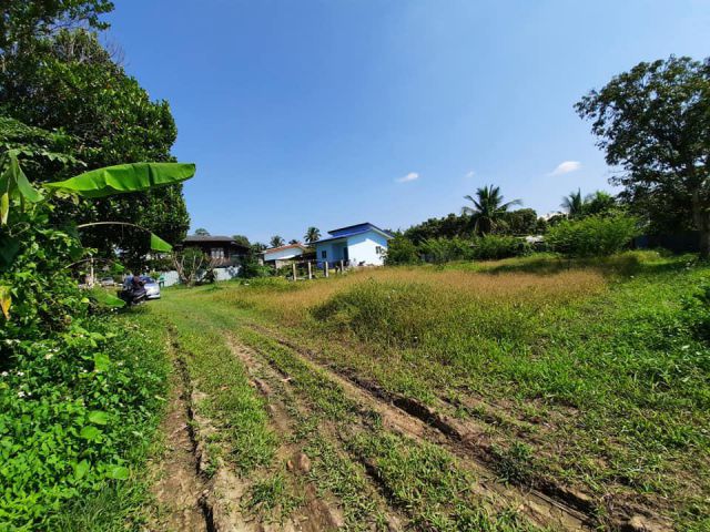 ขายที่ดิน ใกล้ตลาดน้ำโท้ง 100 ตร.ว 1 ล้านบาท ราคาต่อรองได้