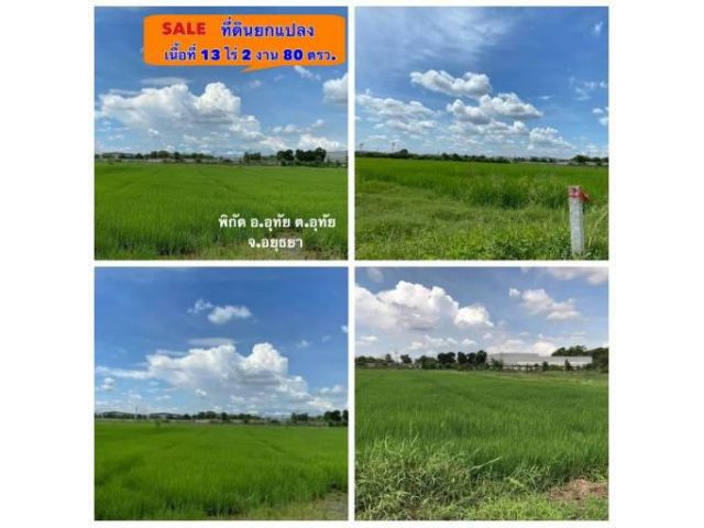 ขายที่ดินติดถนนโรจนะ ตำบลอุทัย อำเภออุทัย จังหวัดพระนครศรีอยุธยา