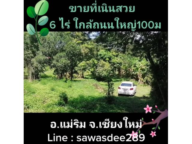 ขายที่ดินเนินสวย 6 ไร่ใกล้ถนนเส้นแม่ริม 100 เมตร อำเภอแม่ริม จังหวัดเชียงใหม่