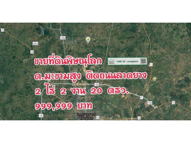 > ขายที่ดินพิษณุโลก ติดถนนลาดยาง 2 ไร่ 2 งาน 20 ตรว.