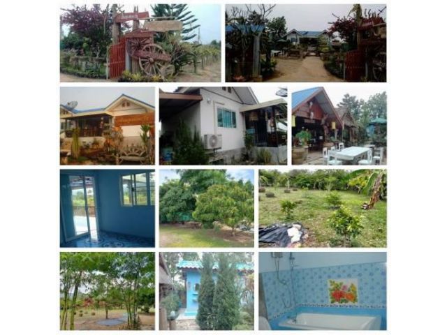 ขายบ้านพร้อมที่ดิน ตำบลร่องจิก อำเภอภูเรือ จังหวัดเลย