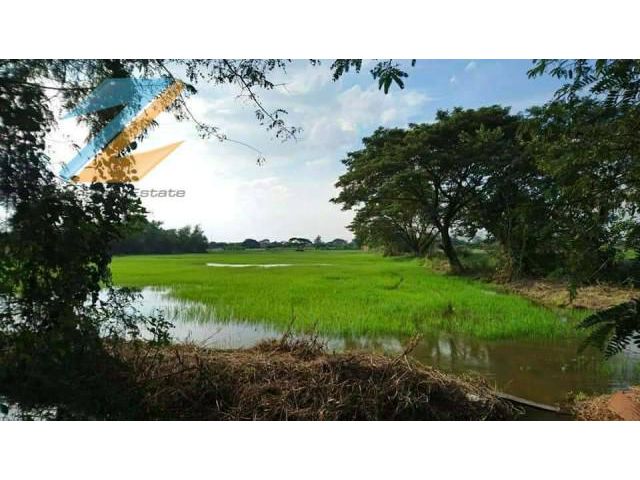 ขายที่ดินติดถนน 18 - 3 - 96 ไร่  ต.นครหลวง อ.นครหลวง จ.พระนครศรีอยุธยา
