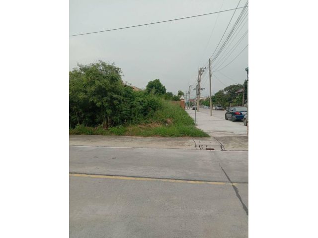 ขายที่ดินทำเลทองติดถนนใหญ่สองด้านใกล้ถนนพระยาสัจจา เนื้อที่ 195 ตรว. ต.เสม็ด อ.เมือง  จ.ชลบุรี