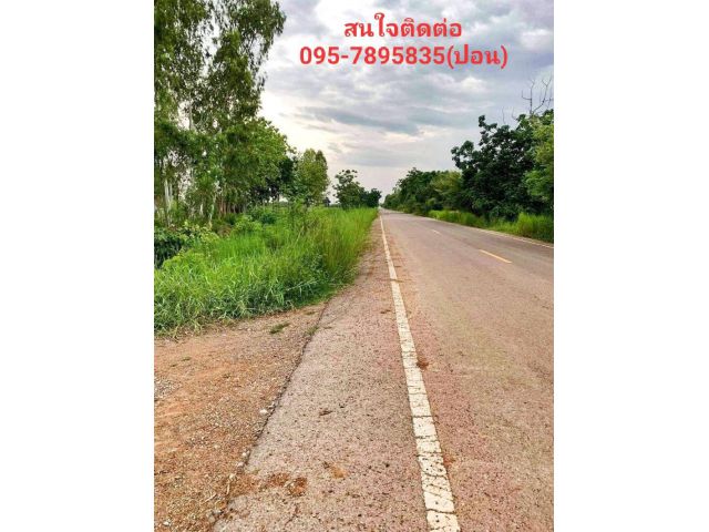 #ขายที่ดินทำเลทองตาคลี นครสวรรค์ ขายถูก#ที่ดินเปล่าเนื้อที่ 81-3-11ไร่ ติดถนนลาดยาง หน้ากว้าง 515ม. ต.หัวหวาย อ.ตาคลี จ.นครสวรรค์