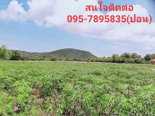 #ขายที่ดินทำเลทอง สัตหีบ ชลบุรี เนื้อที่ 69-1-98 ไร่ หน้ากว้างติดถนนยาวประมาน 590 เมตร