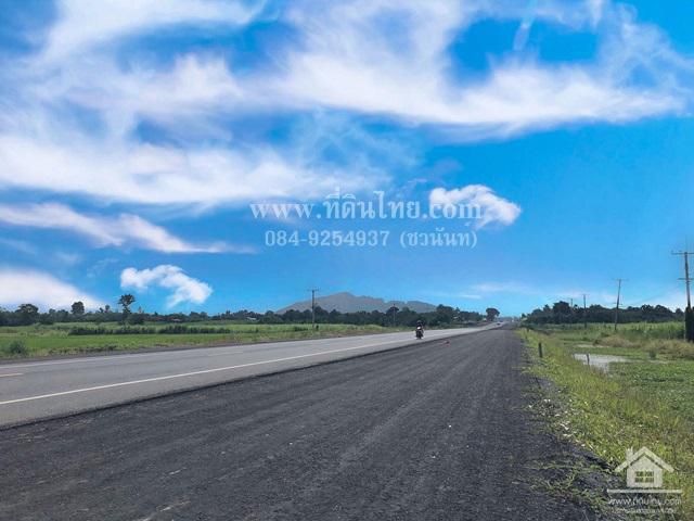 ขายที่ดินหนองยายโต๊ะ - ขายที่ดินชัยบาดาล - ขายที่ดินติด 205  13 ไร่เศษ โฉนด ต.หนองยายโต๊ะ อ.ชัยบาดาล จ.ลพบุรี รหัส L390