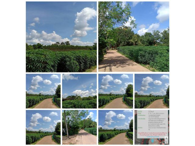 ที่ดินสวยโฉนด 5ไร่ ติดถนนคอนกรีต
