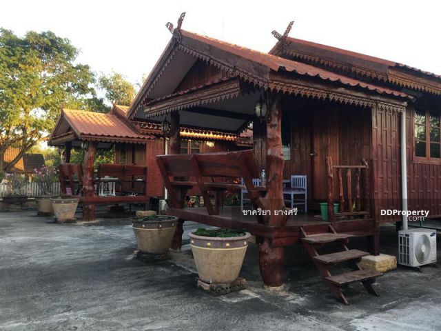 ขายที่ดิน 1 ไร่ 3 งาน 5 ตรว. จ. นครราชสีมา