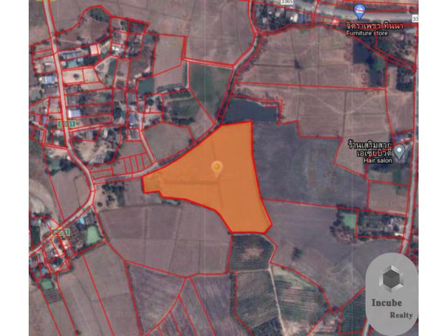 ขายที่ดิน หนองผักนาก 19-0-83.0 ไร่ 3 ล้าน