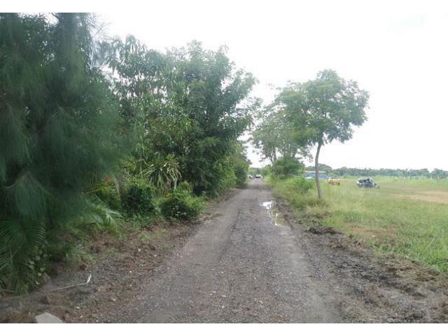 ขาย ที่ดิน เลียบคลอง 5 ฝั่งตะวันออก ถนนกาญจนาภิเษก อ.ลำลูกกา จ.ปทุมธานี