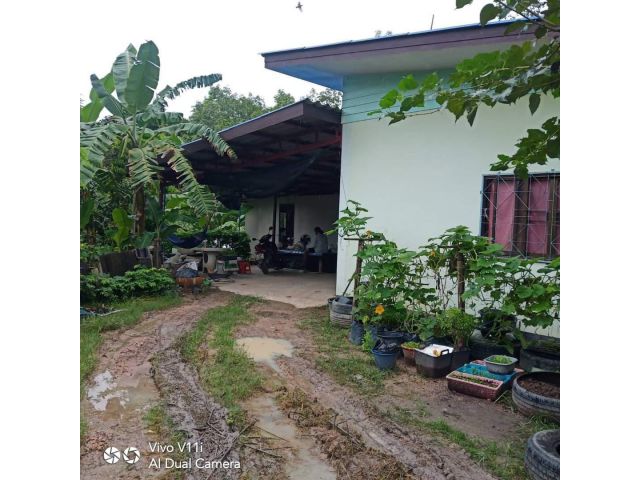 Ps179 ด่วนขายบ้านพร้อมที่ดิน168ตรว.ราคาถูกมาก หนองตะพานบ้านค่ายระยอง