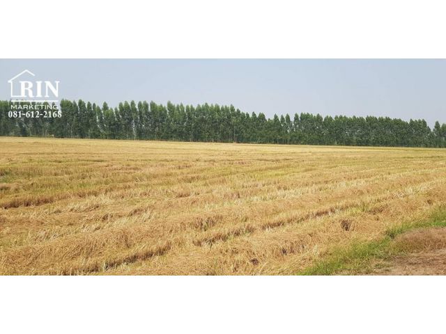 R072-018 ขายที่ดินการเกษตร​ 29-2-0 ไร่  ต.ศาลาแดง อ.บางน้ำเปรี้ยว จ.ฉะเชิงเทรา