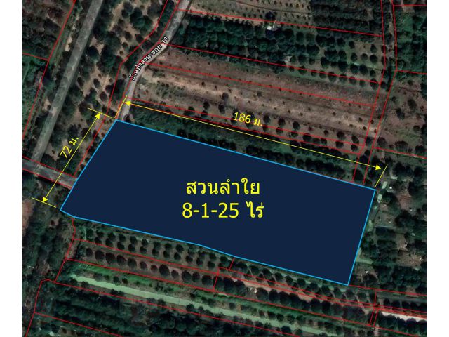 ขายสวนลำใย 8-1-25 ไร่  (ต.หนองตอง  อ.หางดง)