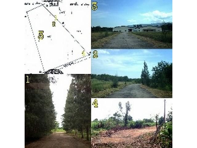 ขายด่วนที่ดิน 83 ไร่ บ้านมาบคล้า ต.คลองกิ่ว อ.บ้านบึง ชลบุรี 107.9ล้านบาท