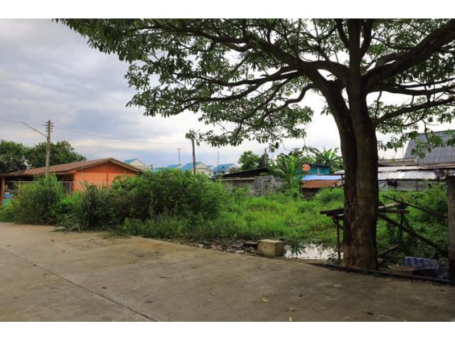 A026 ขายที่ดินจัดสรร 100 ตรว ถนนไร่กล้วย ศรีราชา ชลบุรี ถมแล้ว ติดถนน 2 ด้าน ที่สวย ทำเลดี ขายถูกมาก