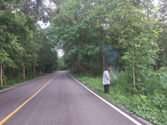 ที่ดินสวย ติดถนน ราคาถูก ​ จ.แพร่​
