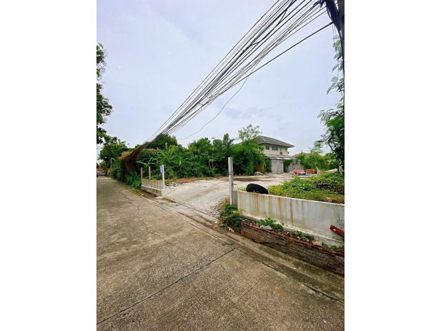 PP545 ที่ดินสวยสตรีวิทยา 2