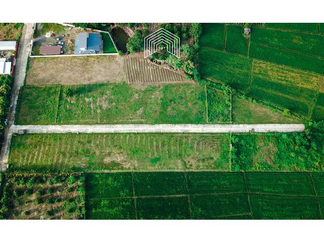 ที่ดินเปล่าแบ่งขาย 150 ตรว. อ.สันกำแพง จ.เชียงใหม่