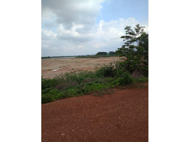 ขายที่นา103ไร่ อำเภอลับแล จังหวัดอุตรดิตถ์