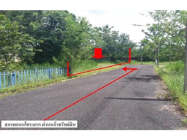 ขาย ที่ดิน : โครงการ บ้านเนินน้ำ (ชลบุรี)