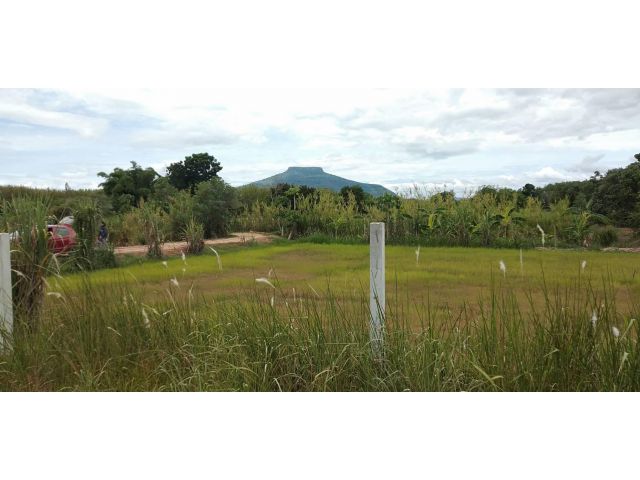 ที่ดินวิวสวยๆ บรรยากาศดีใกล้ฟูจิเมืองเลย โฉนด 6 ไร่ เพียง 1.5 ล้านบาท
