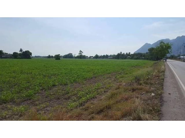 ขายที่ดินเปล่า 28-3-0 ไร่ เขตส่งเสริมอุตสาหกรรม เขาวง พระพุทธบาท สระบุรี ติดถนนหลัก ราคาถูก