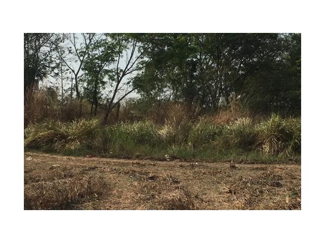 ขายที่ดิน 46-3-56 ไร่ ติดถนน 304 กบินทร์บุรี ปักธงชัย เยื้องนิคมอุตสาหกรรมนครกบินทร์บุรี ขายราคาถูก