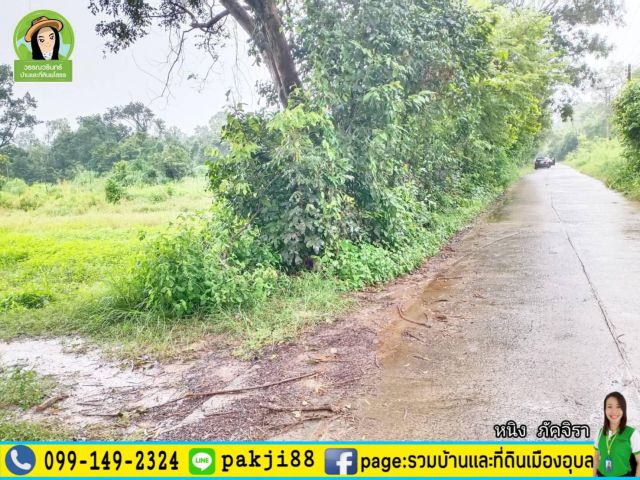 ที่ดินเหมาะสร้างบ้าน ราคาเบาๆ บ้านกว้างใหม่พัฒนา  จ.ยโสธร