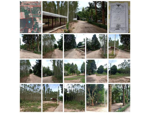 ที่ดินสวยโฉนด 9ไร่ ติดถนนคอนกรีต สาธารณูปโภคครบ