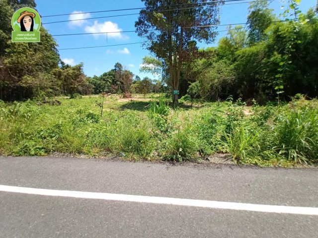 ที่ดินเปล่า