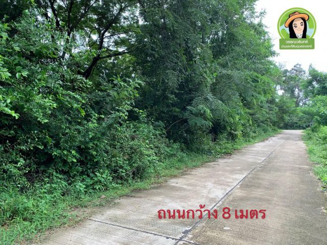 ที่ดินสร้างบ้านราคาเบาๆ ซอยหัวดูน/ห้วยคุ้ม