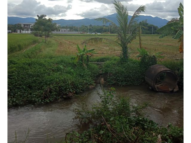ที่นาห้วยทราย อ.แม่ริม เชียงใหม่