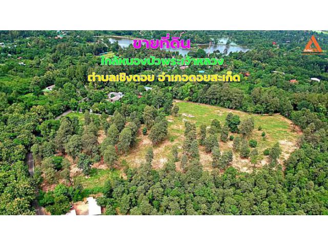 ขายที่ดิน มีโฉนดติดเขตป่า  ใกล้หนองบัวพระเจ้าหลวง ตำบลเชิงดอย อำเภอดอยสะเก็ด จังหวัดเชียงใหม่