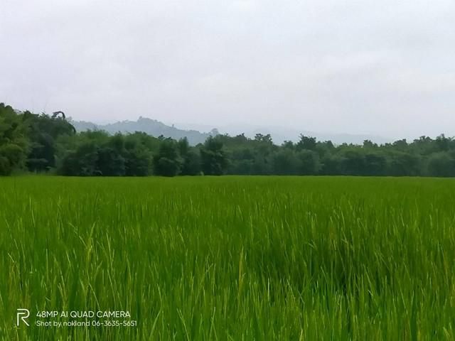 ขายที่ดินวิวเขาสวย ต.หนองแสง อ.ปากพลี จ.นครนายก