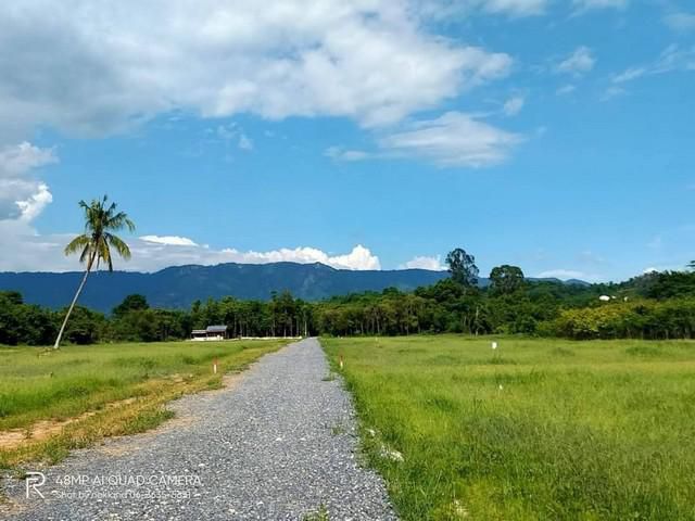 ขายที่ดินวิวเขา ต.ชะอม อ.แก่งคอย จ.สระบุรี