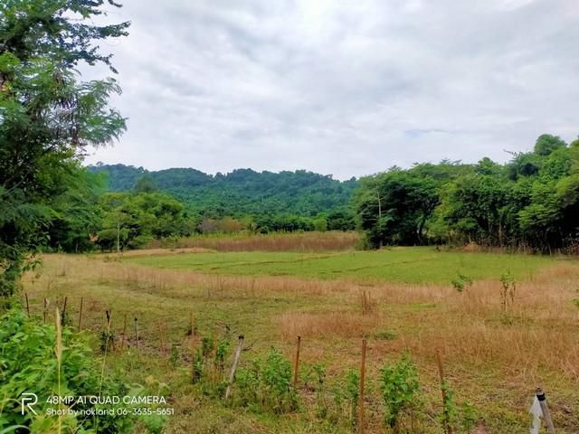 ขายที่ดินวิวเขา ต.เขาเพิ่ม อ.บ้านนา จ.นครนายก