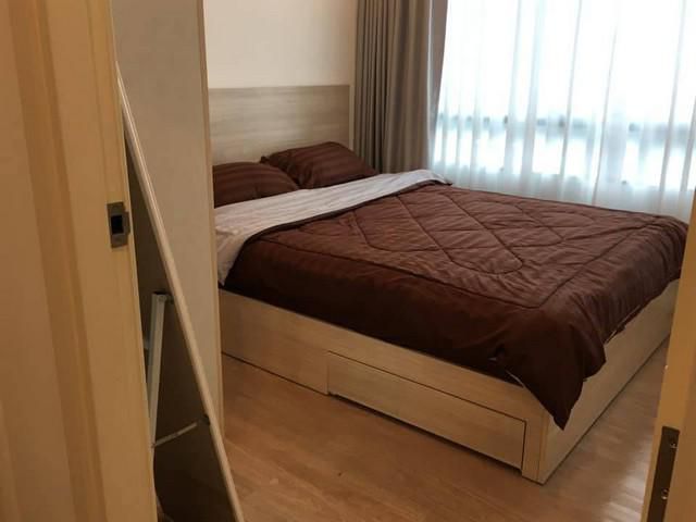 ให้เช่า Wynn Condo โชคชัย 4  25 ตรม. ชั้น8