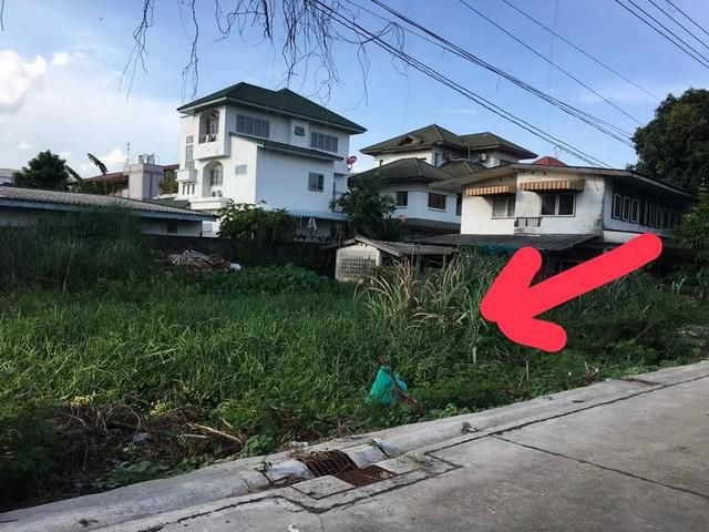 ขายที่ดิน 100 ตรว. อ่อนนุช46 เหมาะสร้างบ้าน ออฟฟิศ