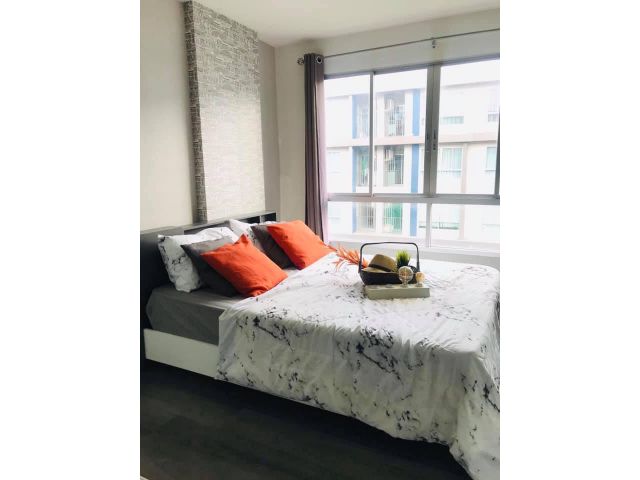 ให้เช่า dCondo Campus Resort Bangna ราคาถูก